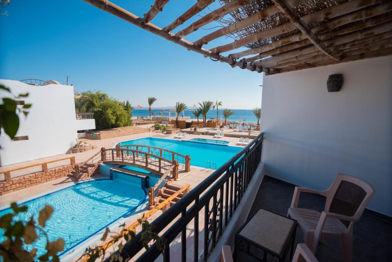افضل شركة حجز فندق باندا دهب ريزورت - افضل فنادق دهب 3 نجوم 2022 | Panda Dahab Resort